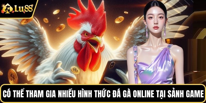 Có thể tham gia nhiều hình thức đá gà online tại sảnh game
