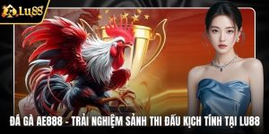 Đá gà ae888