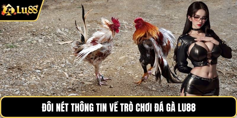 Đôi nét thông tin về trò chơi đá gà LU88