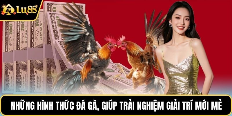 Những hình thức đá gà, giúp trải nghiệm giải trí luôn mới mẻ